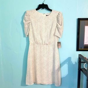 Express, size small, “Dalmatian” print knee-length dress!